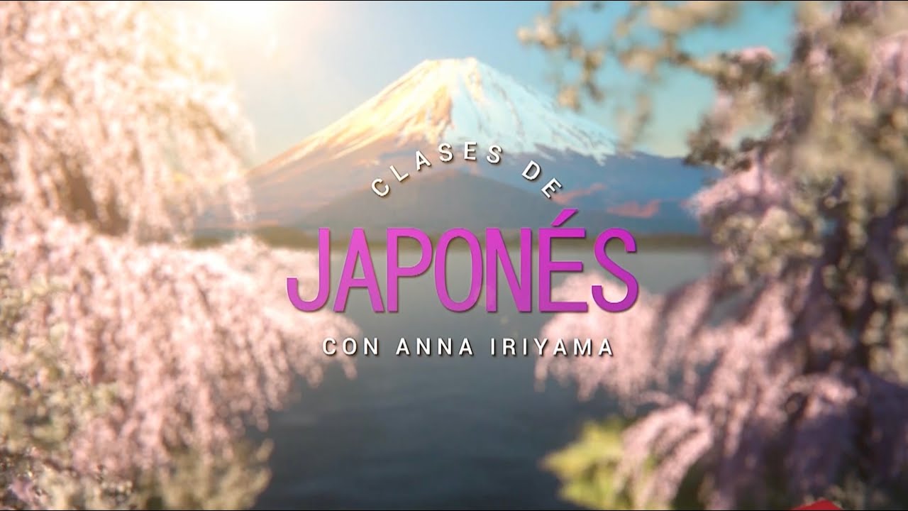 CLASES DE JAPONÉS: COMO USAR EL METRO DE JAPÓN