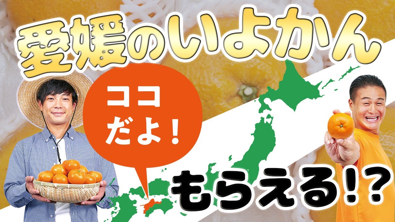 愛媛かんきつ部のティモンディからまさかのプレゼント！？