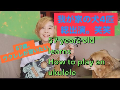57 歳　ウクレレが習いたい 57 years old learns how to play an ukulele  我が家の犬、総出演。笑笑