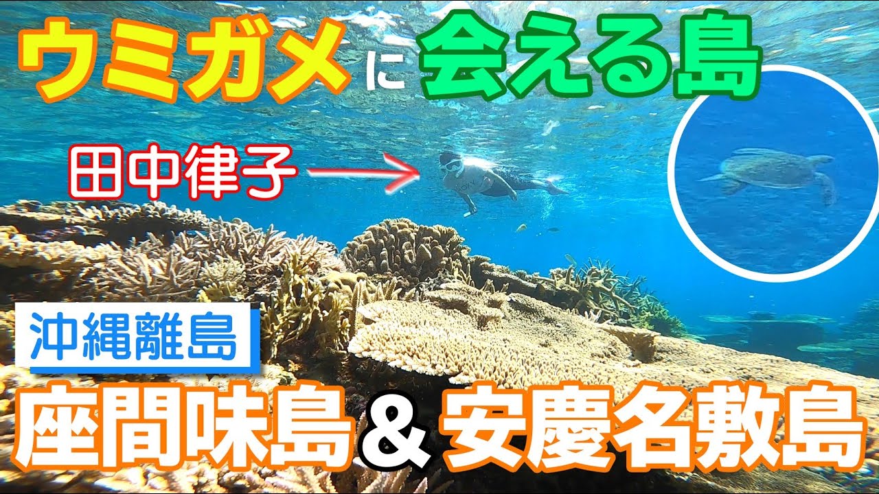 【沖縄/座間味島・安慶名敷島vlog】ウミガメとサップ&シュノーケリングしてきた！