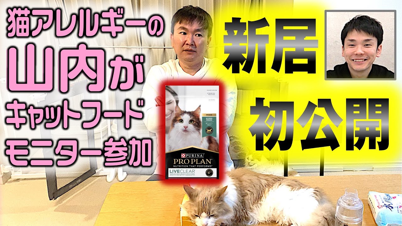 【新居初公開】猫アレルギーのかまいたち山内が自宅で凄いキャットフードを試してみた！