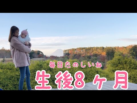 【生後8ヶ月】お喋りが可愛い！【成長の記録】