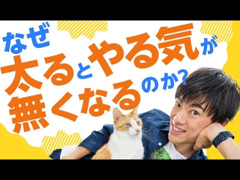 なぜ太ると【やる気が出なくなる】のか？