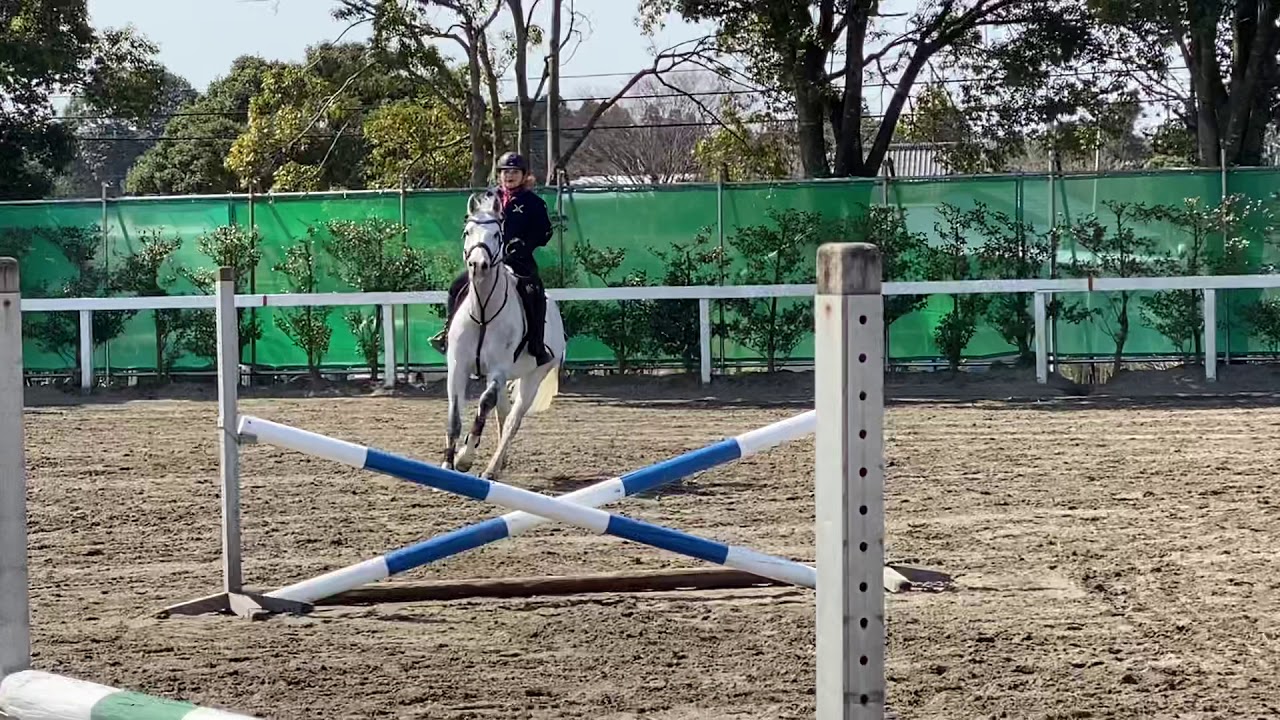 自馬クラシックで110センチ飛びました！