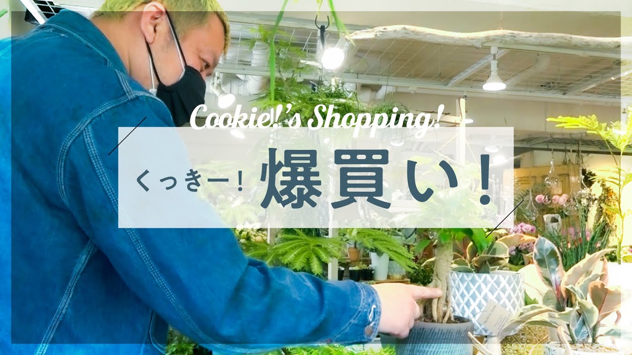 【新緑木々】くっきー！観葉植物を買いに行く！