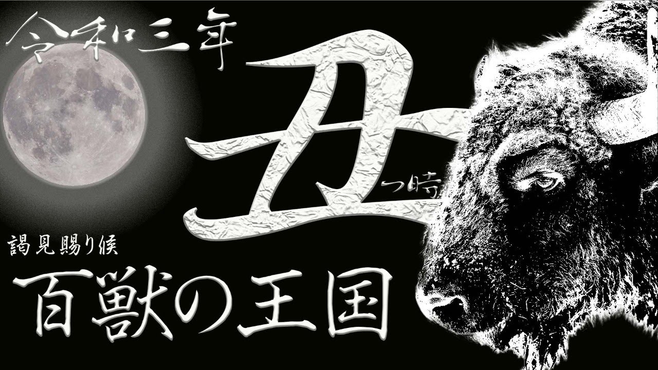 熊を倒すには８週間かかるって知ってた？ライブ