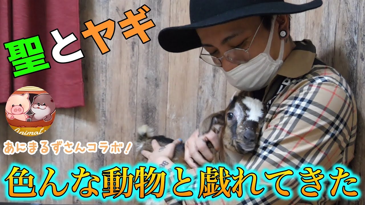 動物園より動物がいるお宅訪問してきた【あにまるず】