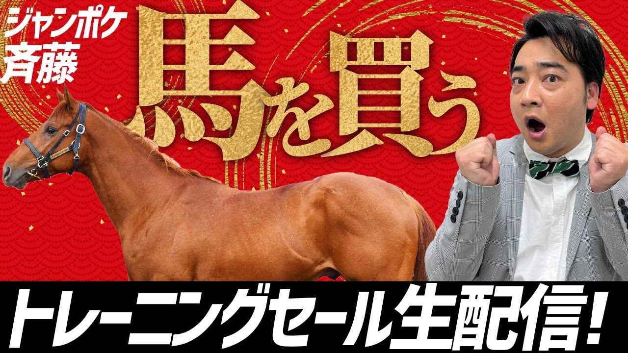 ジャンポケ斉藤、ジャングルポケット産駒を買えるか！？トレーニングセール生配信！