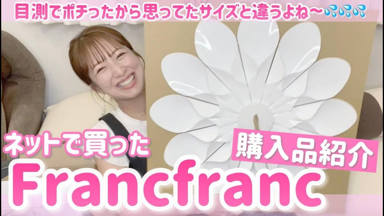 【爆買い！】大好きなFrancfranc購入品紹介！【4箱！】