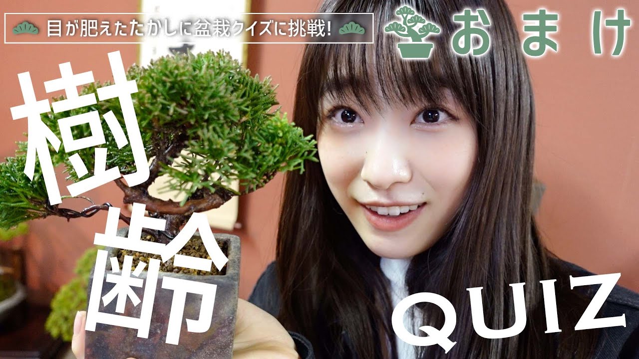 【盆栽-BONSAI-】おまけ映像！樹齢1000年の盆栽とは？