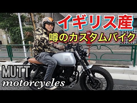 バイクでも買いに行きましょう