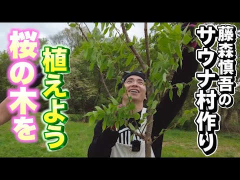 藤森慎吾のサウナ村作り！自分の森に桜の木を植えました！