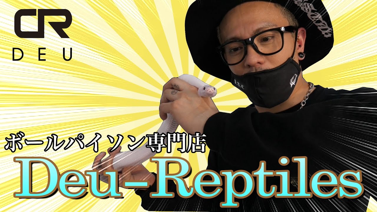 ボールパイソン専門店 Deu-Reptiles