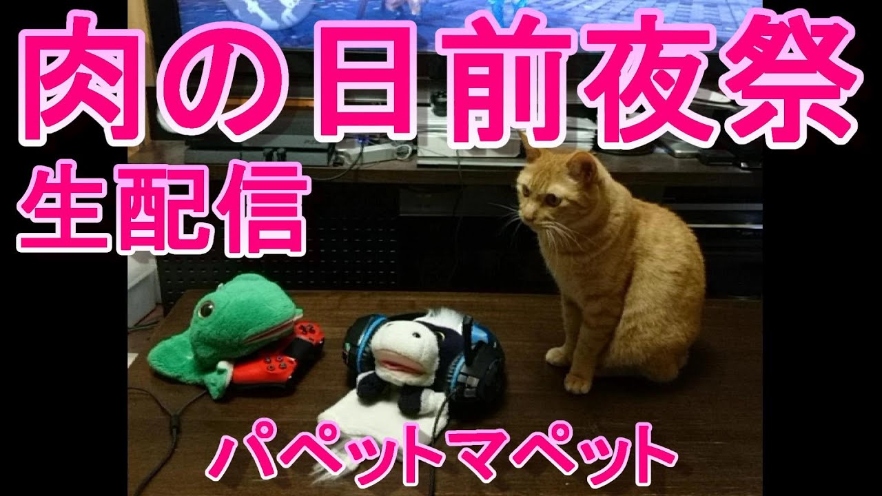 【雑談】明日は肉の日！そして子猫を迎えてちょうど1か月。うしとカエルの雑談生配信（パペットマペット）【LIVE】