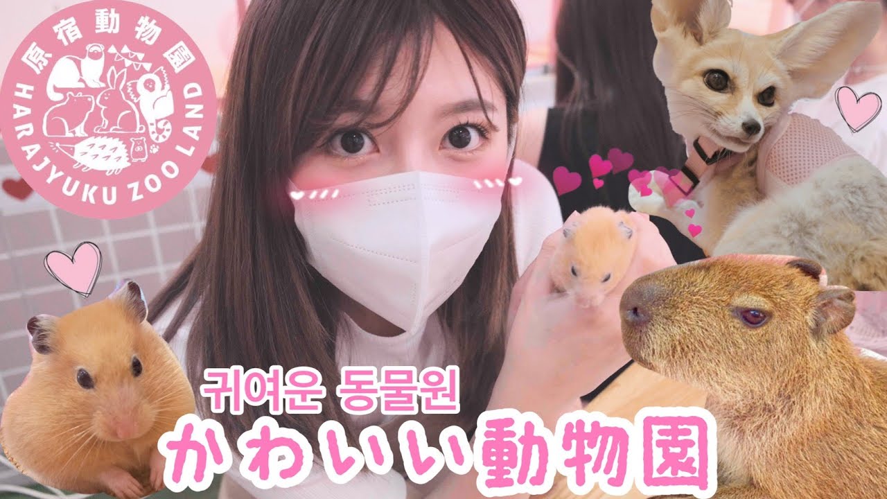 【癒し】原宿かわいい動物園という名の天国👼/도쿄 하라주쿠에 귀여운 동물원..?!【ハムスター】