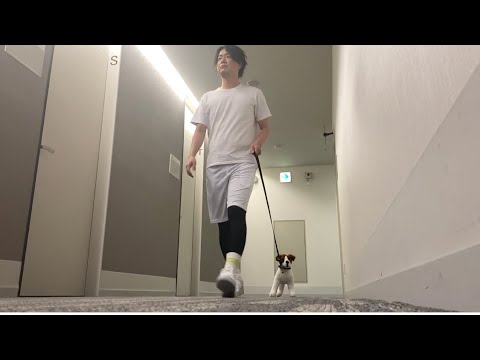 犬を飼い始めたシュウペイ