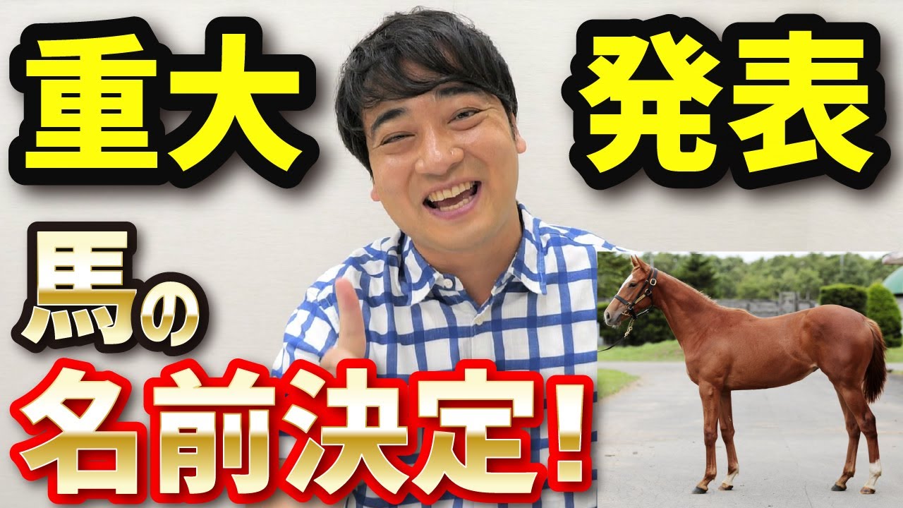 【重大発表】ついに名前が決まりました！【斉藤、ジャンポケ産駒を名付ける】