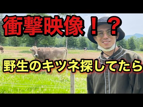 【祝50万人】のお祝い動画が衝撃映像でした