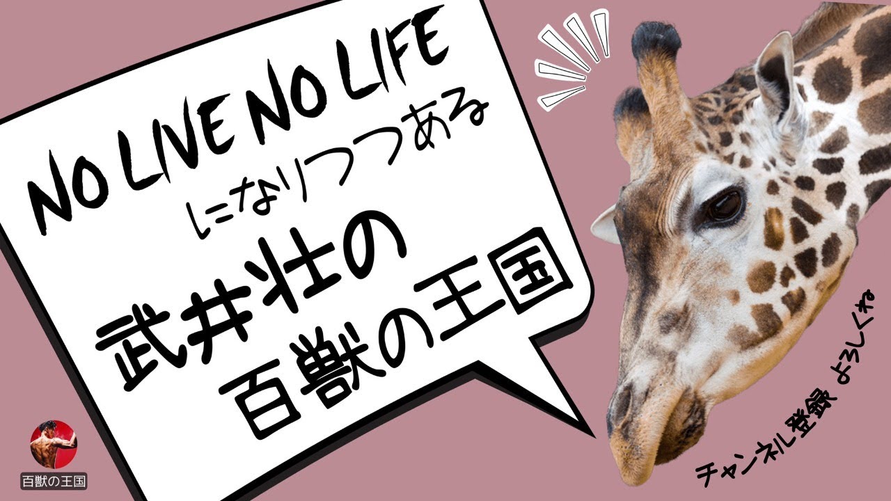 NO LIVE NO LIFEになりつつある百獣の王国