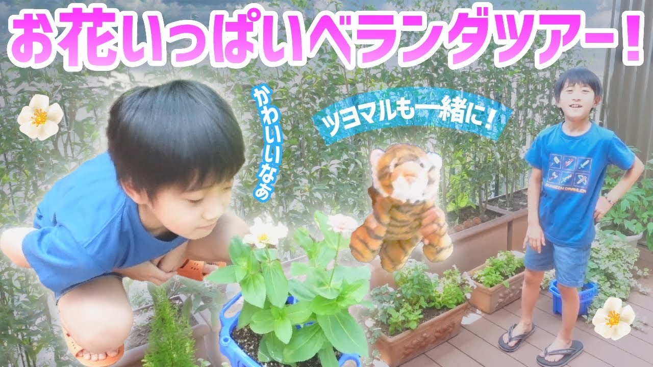 【紹介】勸玄のお花愛✨ベランダを紹介してくれるそうです！