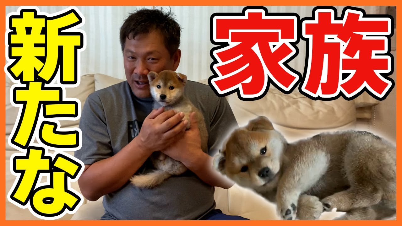 山﨑家に新たな家族が！？愛犬 ナノくん 初公開✨