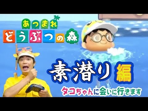 フータさま再び！タコちゃんを求めて素潜りに挑戦するであります【あつ森#4】