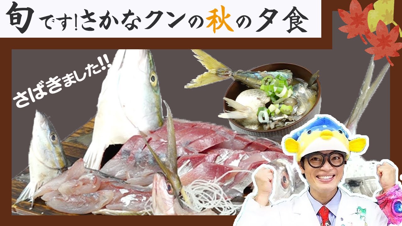 【旬のお魚】美味しい秋の見つけ方！栄養が摂れる裏ワザもギョ紹介します