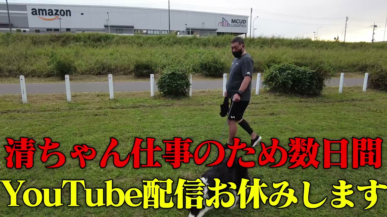 清ちゃん仕事の為YouTube配信数日間お休みします。