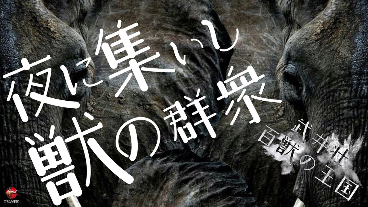 武井壮にこれ聞いてみた！ライブ