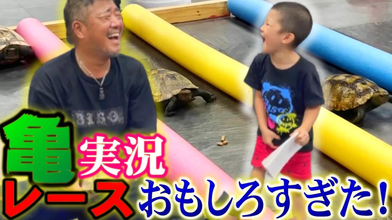 【亀レース】孫が実況する！お爺ちゃん大興奮！！