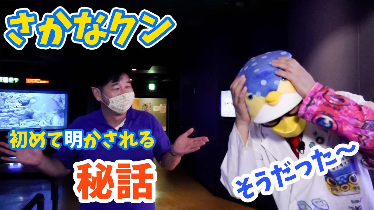 【初出し話】修業時代の過去を大先輩と語ります【さかなクンになる前】