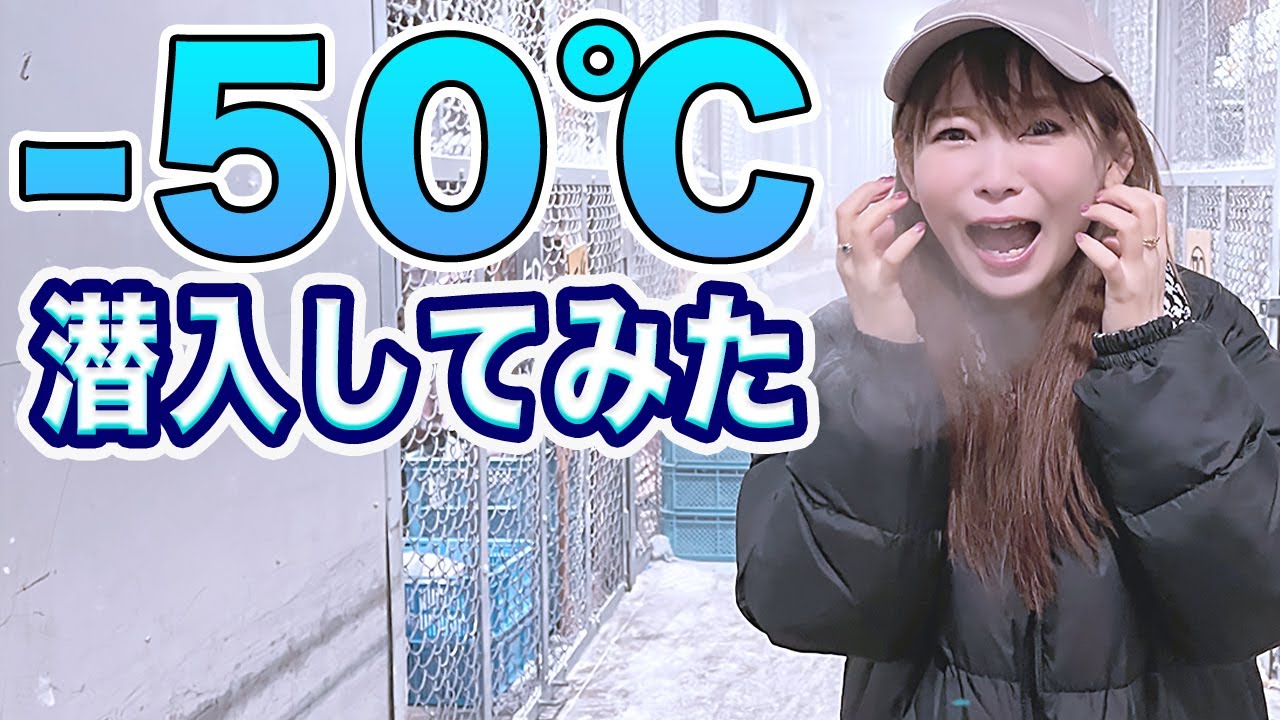 普通に無理！マイナス50℃は寒すぎでしょ！でも美味しいマグロを食べるために頑張った！