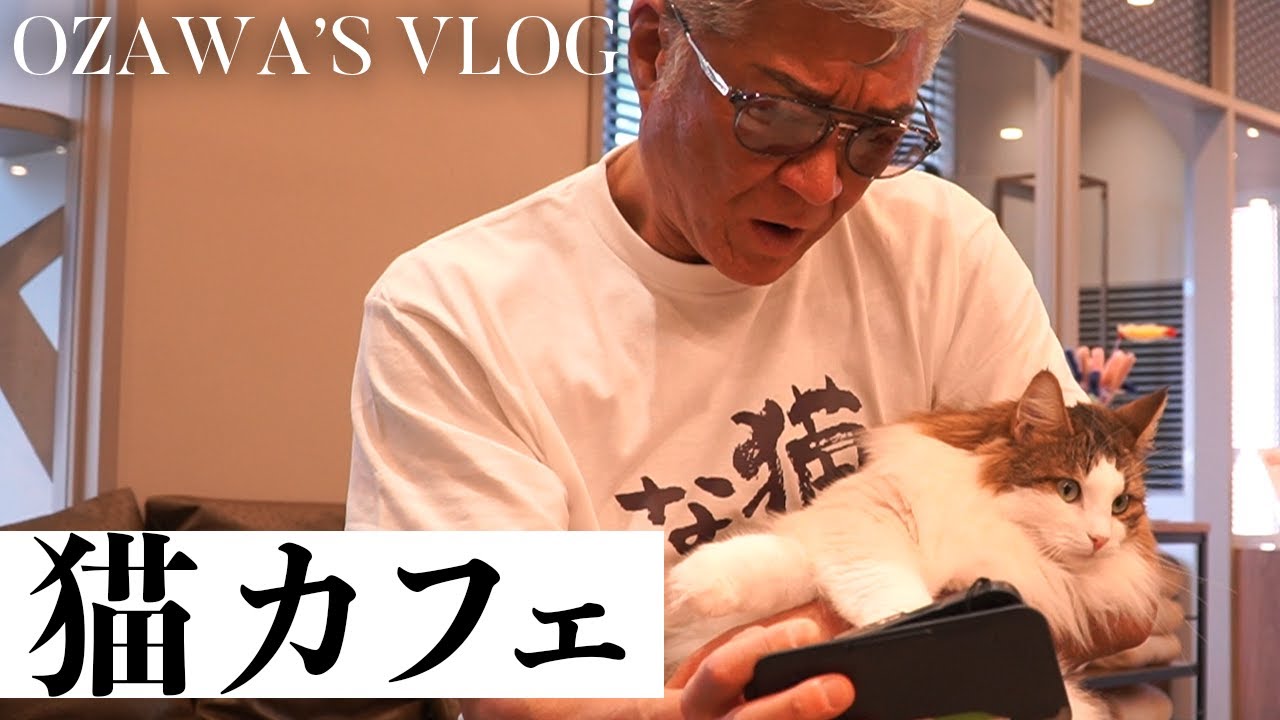 【猫カフェVlog】猫が大好きなのに…猫パンチをくらう小沢仁志