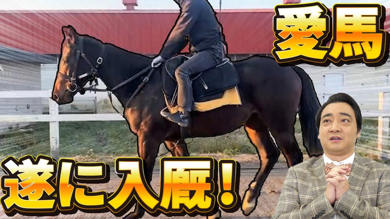 【馬主】愛馬が入厩しました！【ジャンポケ斉藤、ジャングルポケット産駒を買う】