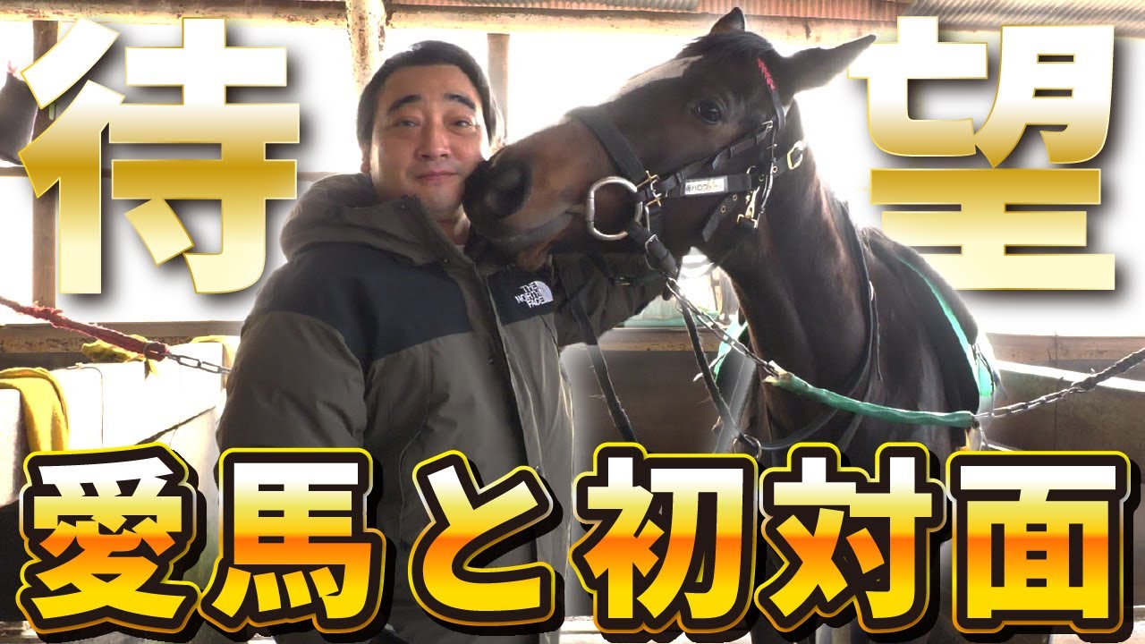 【馬主】ジャンポケ斎藤、愛馬に会う！【可愛すぎ注意】