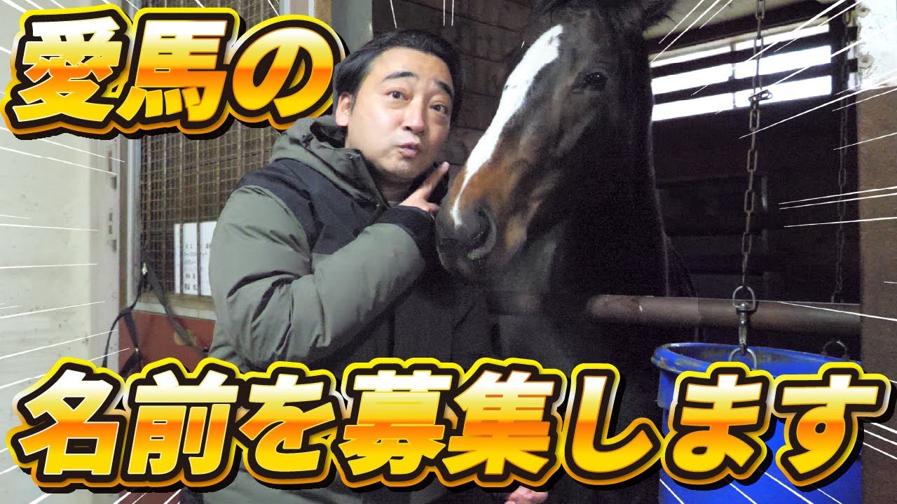 【馬主】ジャンポケ斉藤、愛馬の名前を募集します！【ハロウィーン20】