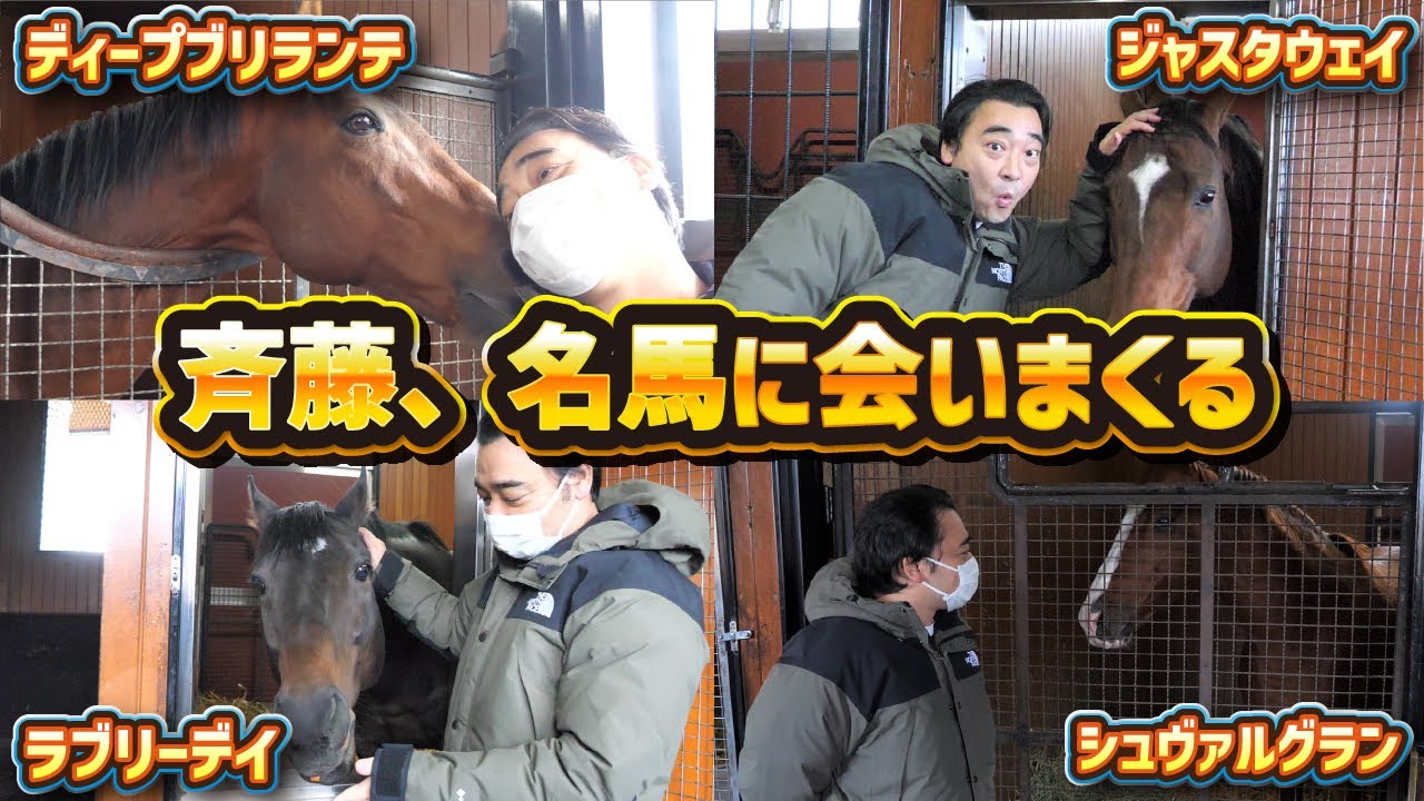 シュヴァルグランにラブリーデイ、ジャスタウェイも！斉藤オーナー、名馬に会いまくる【馬主】