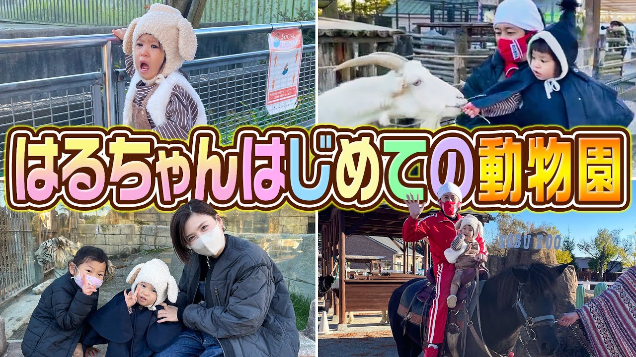 【はるちゃん大興奮】はじめての動物園にはるちゃんが…