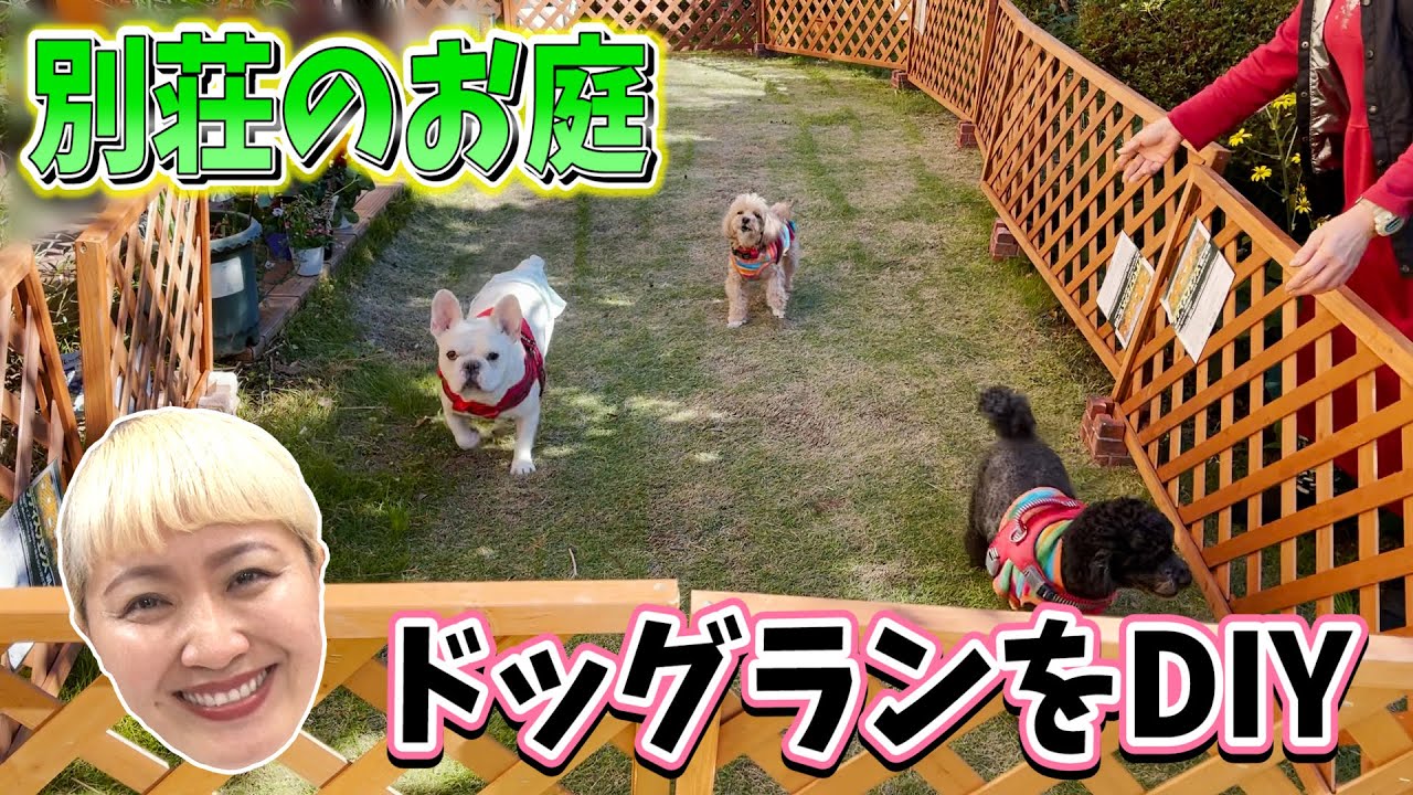 【はじめてのDIY】愛犬のためにドッグランを作りました【マルカリドゥイットユアセルフ】