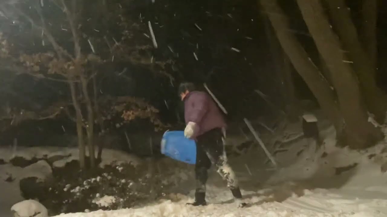 雪　一人ソリ