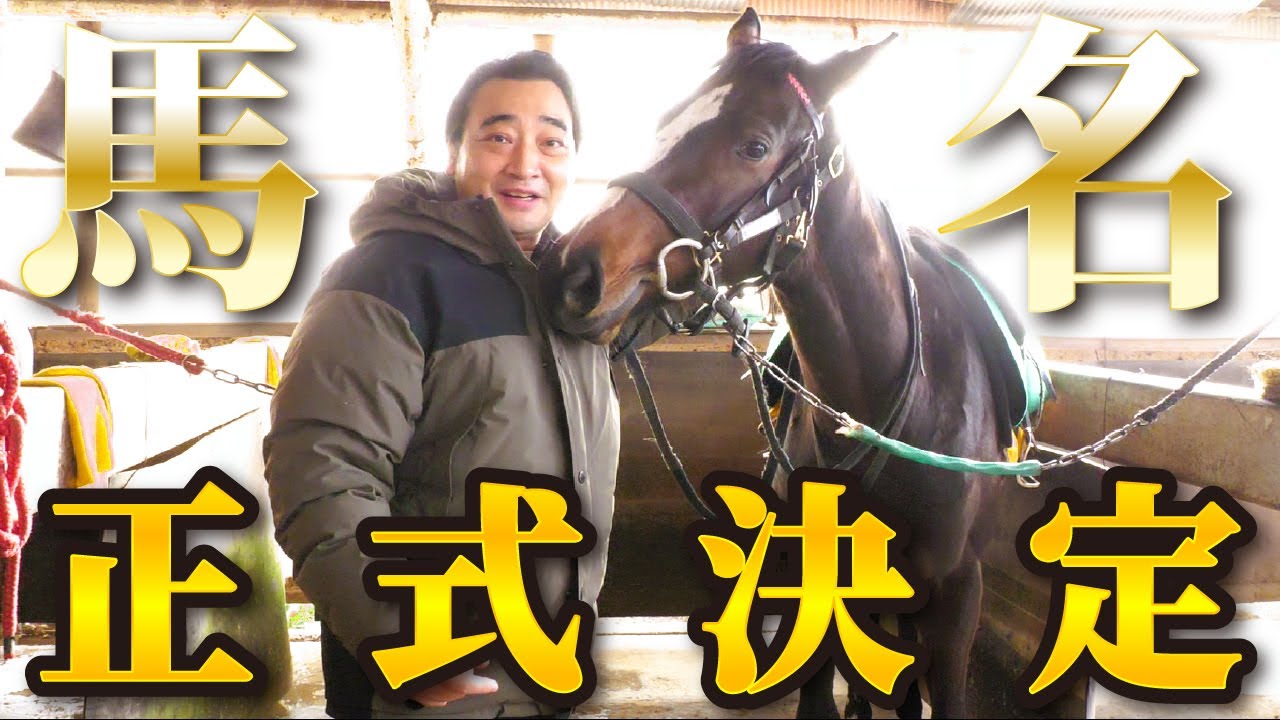 【ご報告】愛馬の名前が正式に決定しました【馬主】