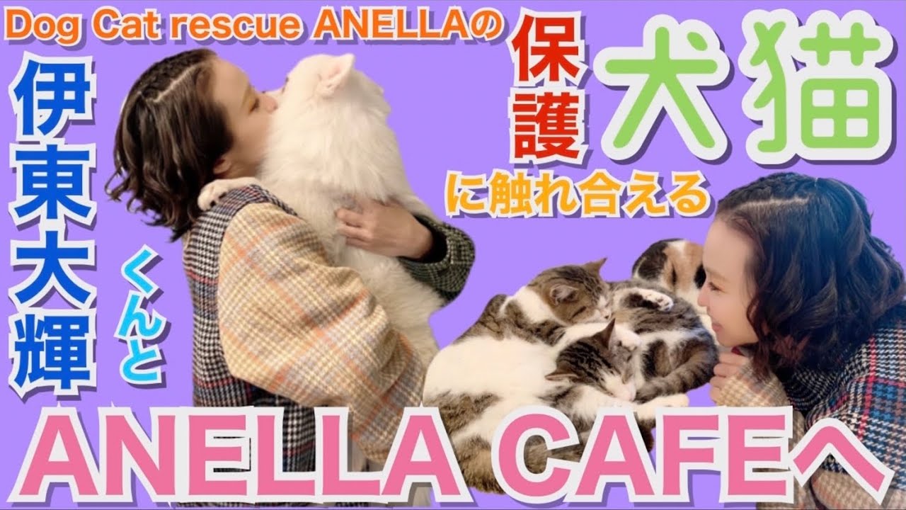 【コラボ】Dog Cat rescue ANELLAの伊東大輝くんと対談〜保護犬猫について〜