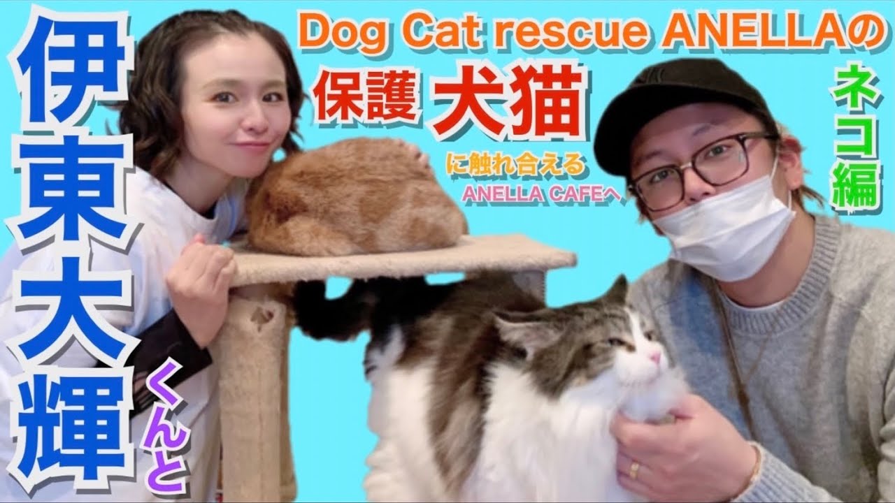 【コラボ】Dog Cat rescue ANELLAの伊東大輝くんと対談〜譲渡会について〜