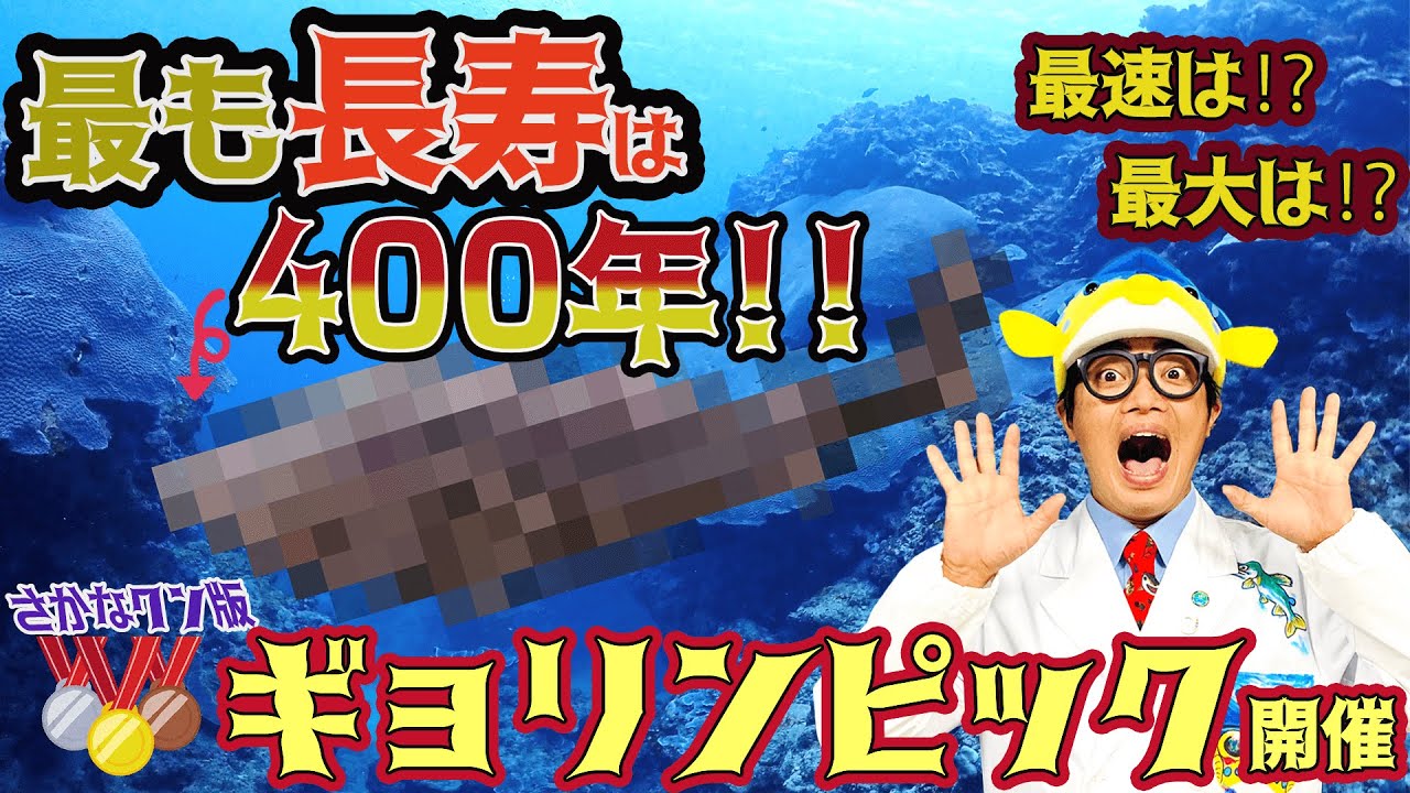 【江戸時代から生き続けるお魚！】お魚オリンピック開催！さかなクンが認定。