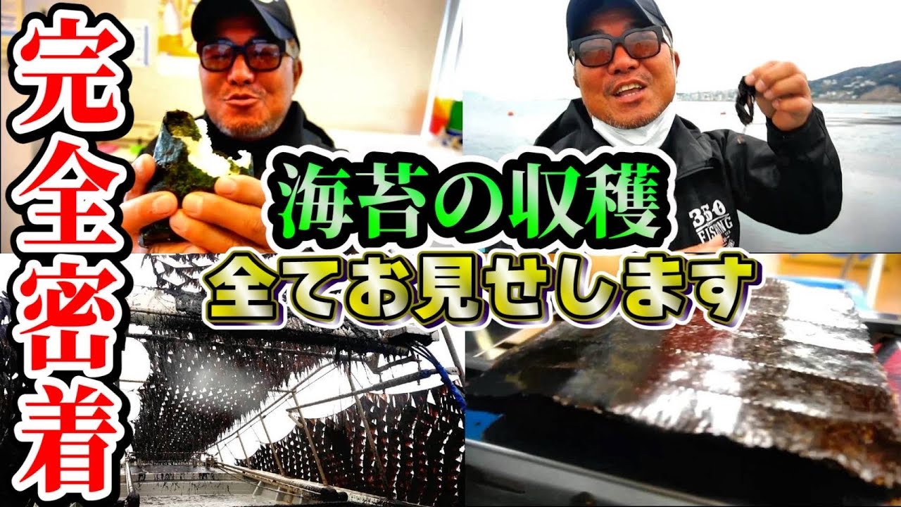 【貴重映像】須磨海苔!収穫、製造、販売までの流れを一挙公開！