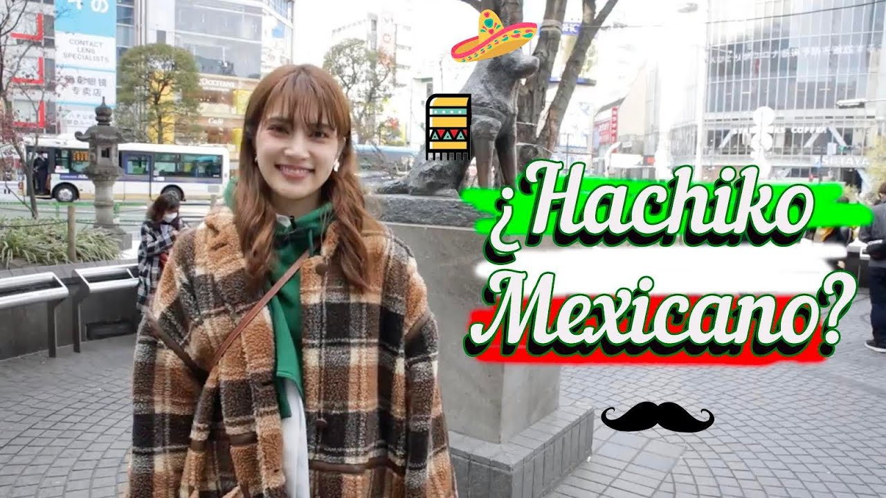 ¿HACHIKO MEXÍCANO?