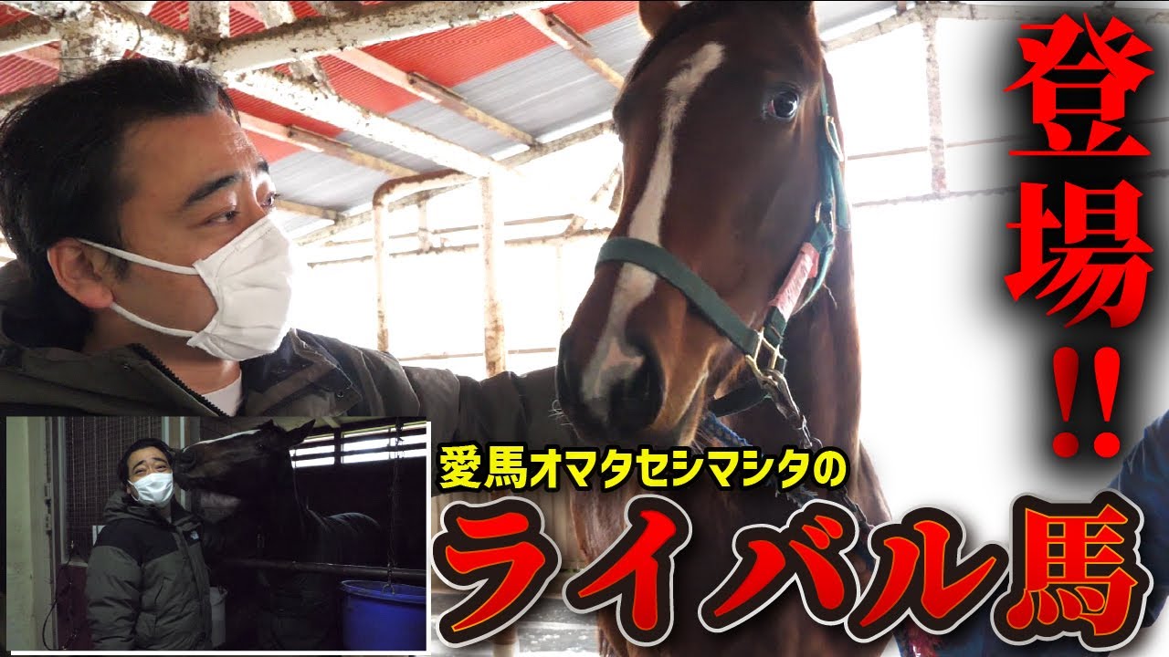 【馬主】斉藤の愛馬オマタセシマシタに強力ライバル登場！馬名は何とアノ人の名前から…？