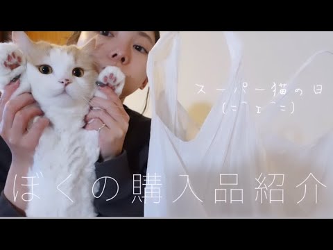 【購入品】スーパー猫の日に買ったものを僕が紹介するよ🐱