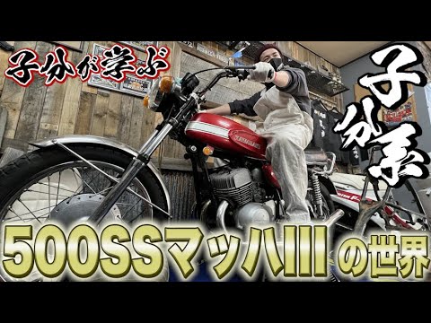 藤森慎吾の次のバイクに？子分が学ぶ500SSマッハIII の世界！