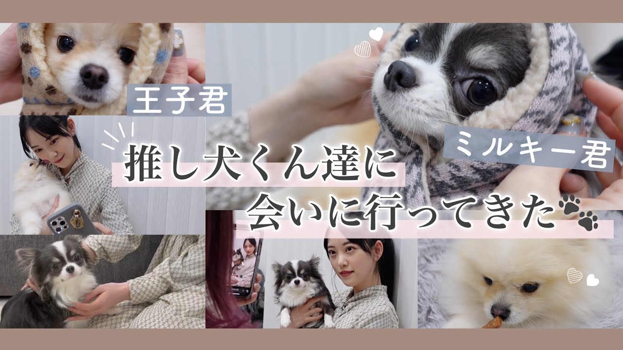 🏳推し活第一弾🏳ずっと会いたかった犬様たち🐶